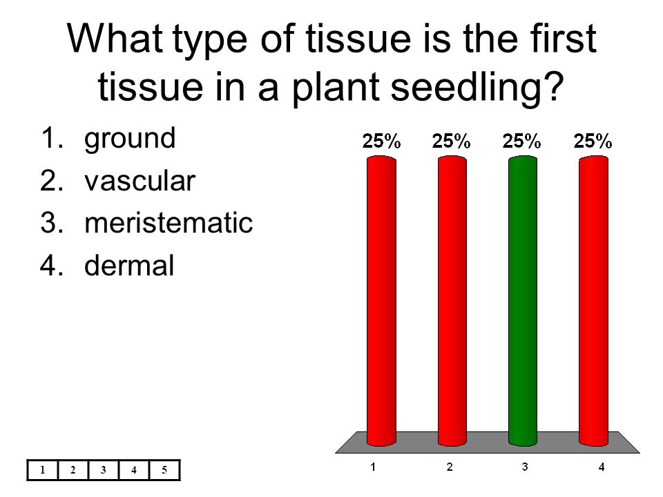 What type of tissue is the first tissue in a plant seedling