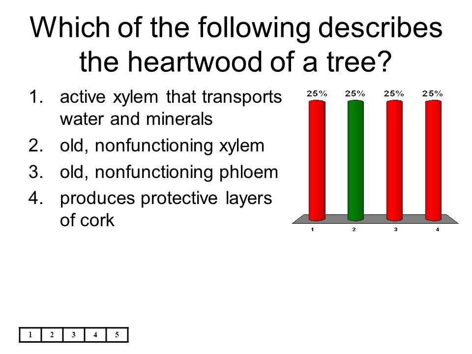 Which of the following describes the heartwood of a tree
