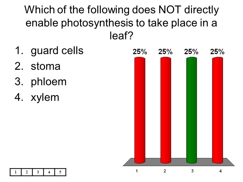 Which of the following does NOT directly enable photosynthesis to take place in a leaf