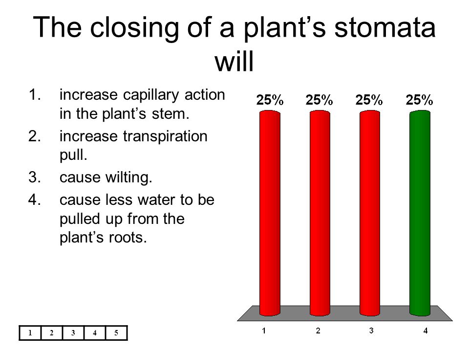 The closing of a plant’s stomata will