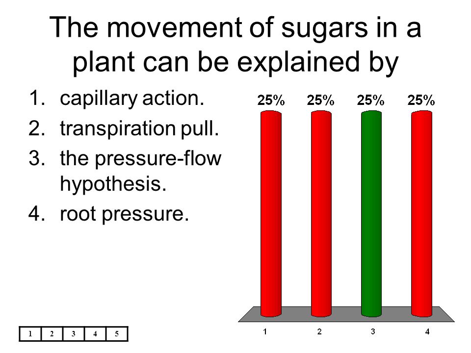 The movement of sugars in a plant can be explained by