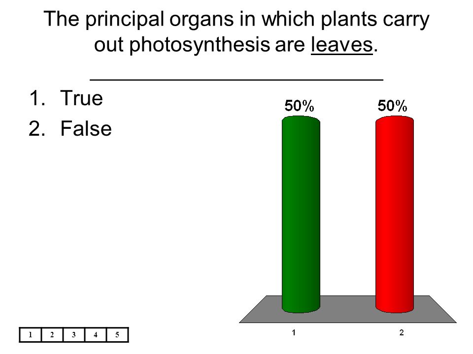 The principal organs in which plants carry out photosynthesis are leaves. _________________________