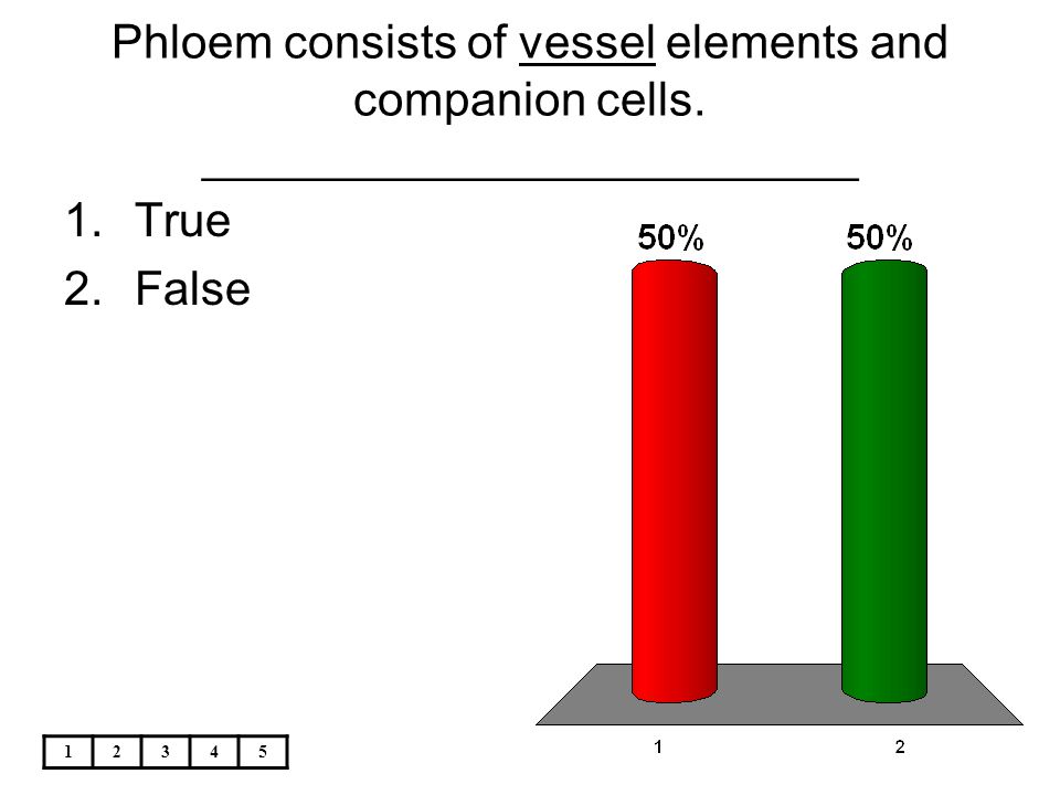 Phloem consists of vessel elements and companion cells