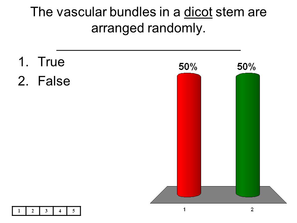 The vascular bundles in a dicot stem are arranged randomly