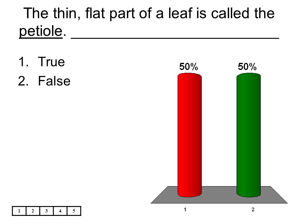 The thin, flat part of a leaf is called the petiole