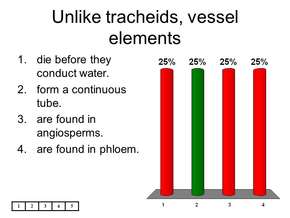 Unlike tracheids, vessel elements