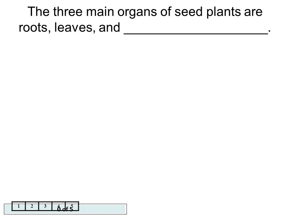 The three main organs of seed plants are roots, leaves, and ____________________.