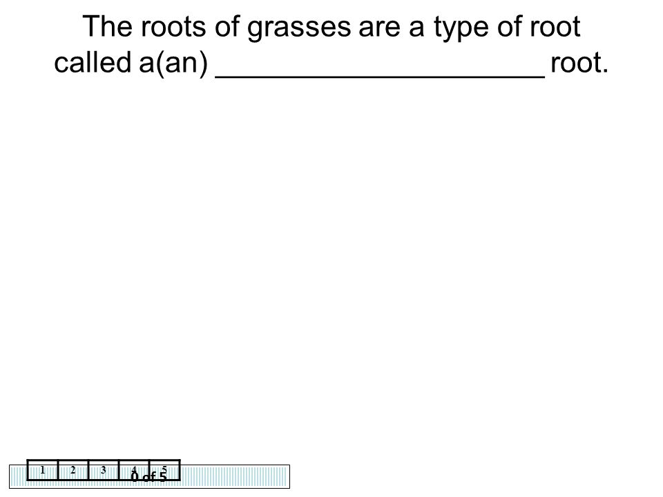 The roots of grasses are a type of root called a(an) ____________________ root.
