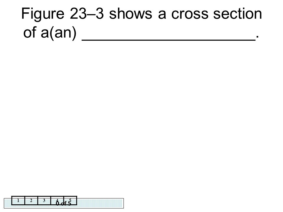 Figure 23–3 shows a cross section of a(an) ____________________.