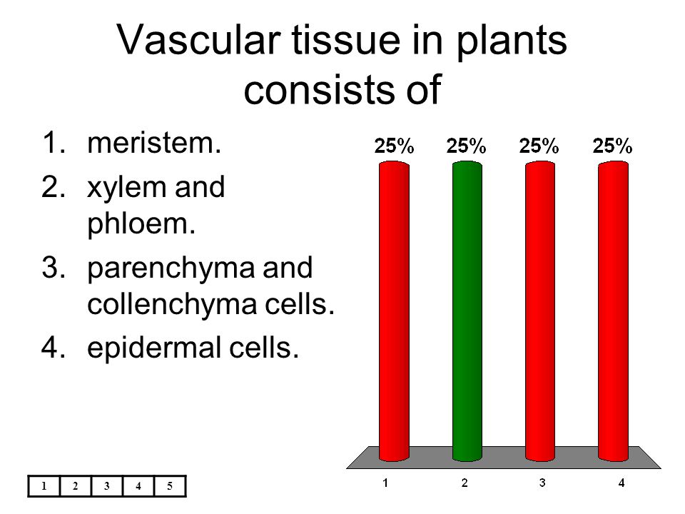 Vascular tissue in plants consists of