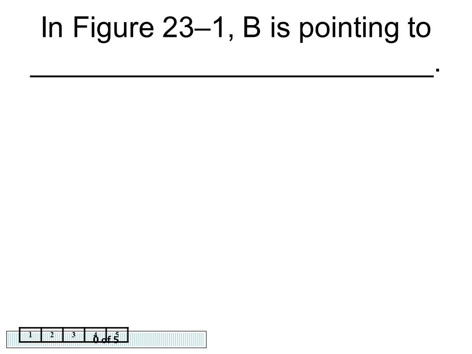 In Figure 23–1, B is pointing to _________________________.