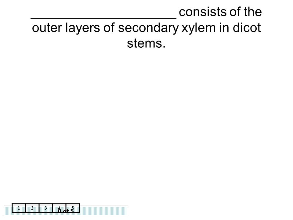 ____________________ consists of the outer layers of secondary xylem in dicot stems.