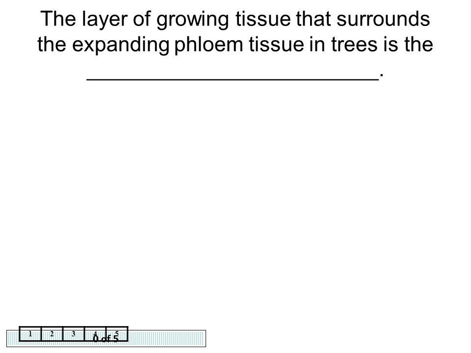 The layer of growing tissue that surrounds the expanding phloem tissue in trees is the _________________________.