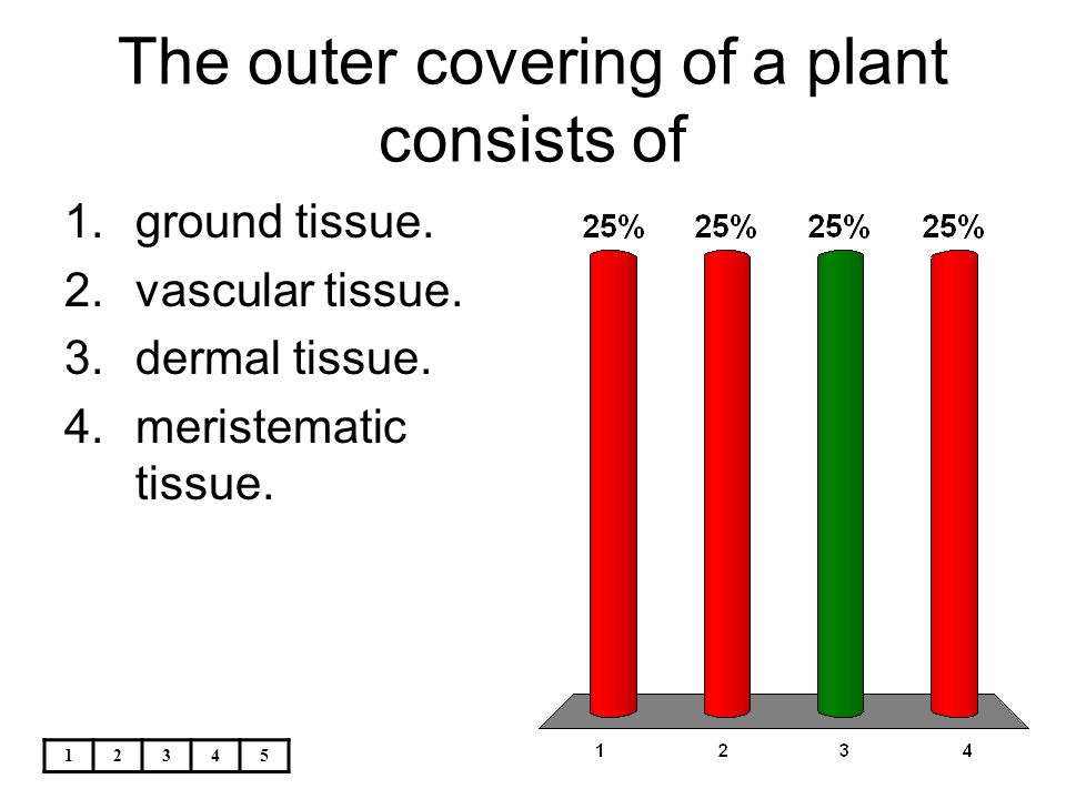 The outer covering of a plant consists of