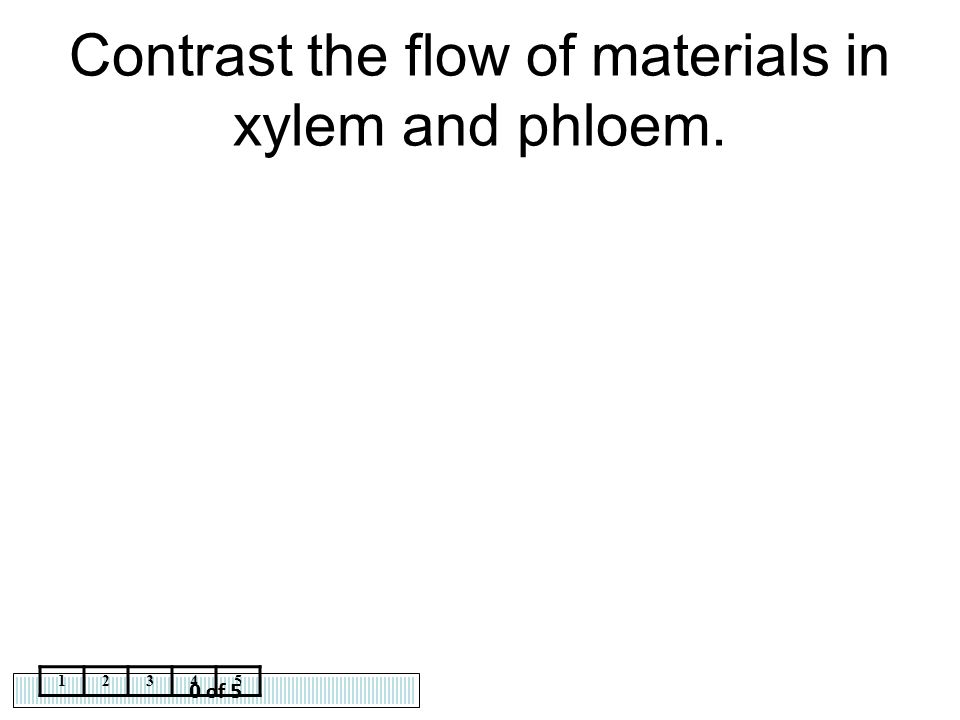 Contrast the flow of materials in xylem and phloem.