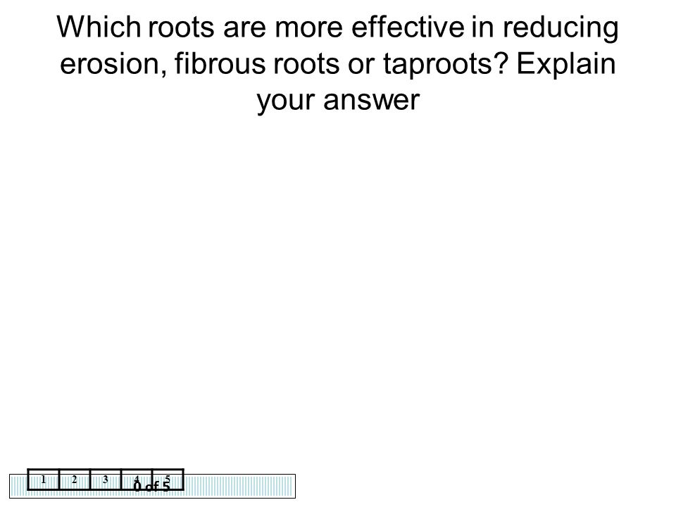 Which roots are more effective in reducing erosion, fibrous roots or taproots Explain your answer