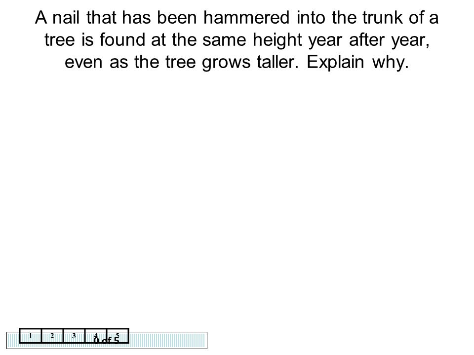 A nail that has been hammered into the trunk of a tree is found at the same height year after year, even as the tree grows taller. Explain why.