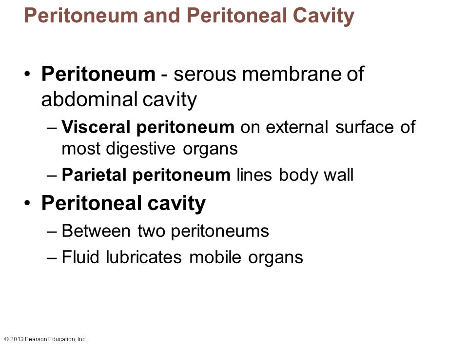 Peritoneum and Peritoneal Cavity