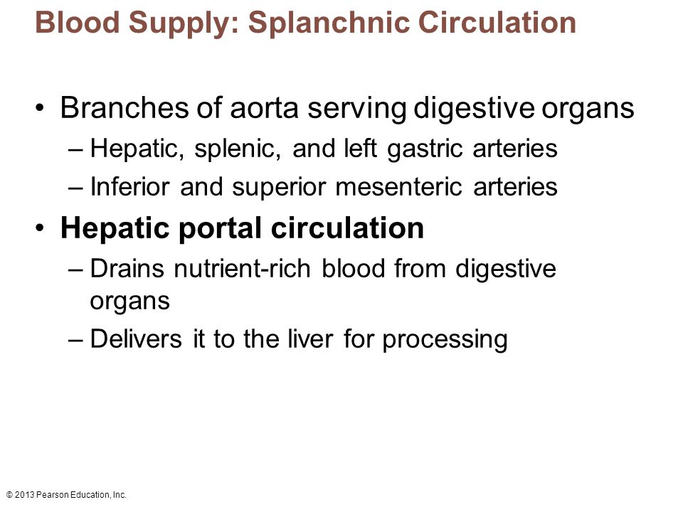 Blood Supply: Splanchnic Circulation