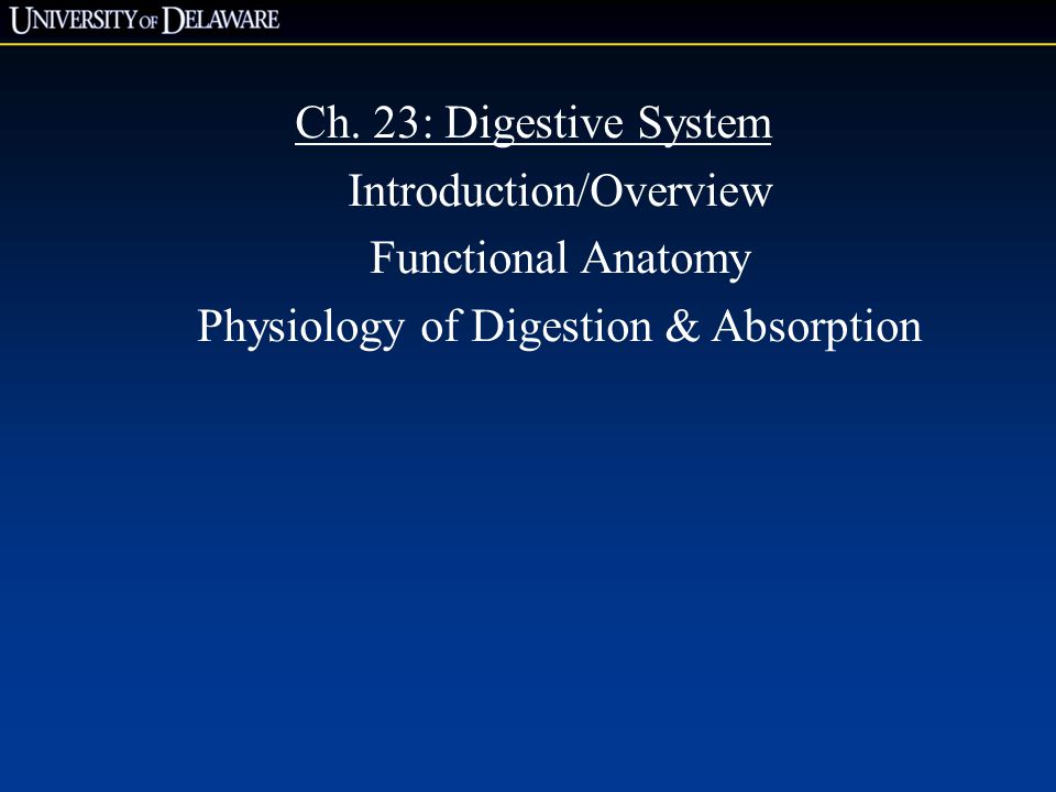 Introduction/Overview Functional Anatomy