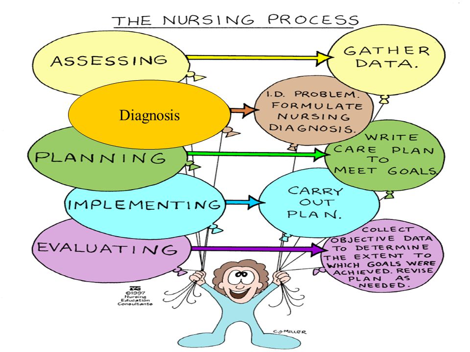 apie nursing process