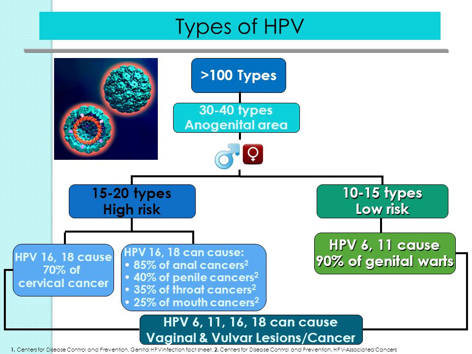 human papillomavirus 18 type)