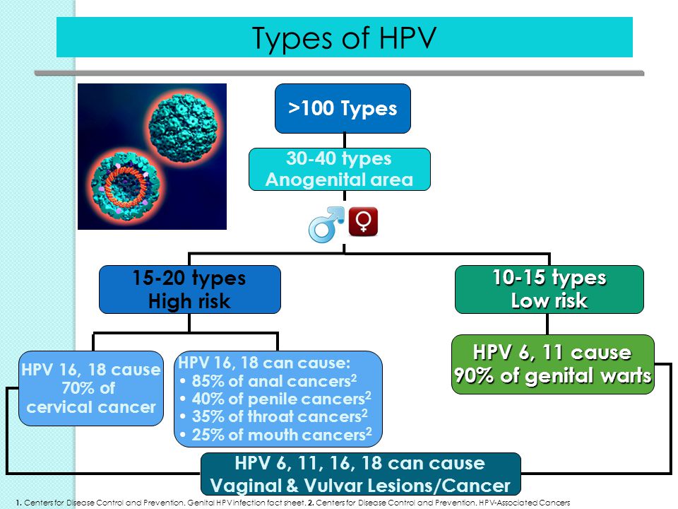 human papillomavirus 18 type