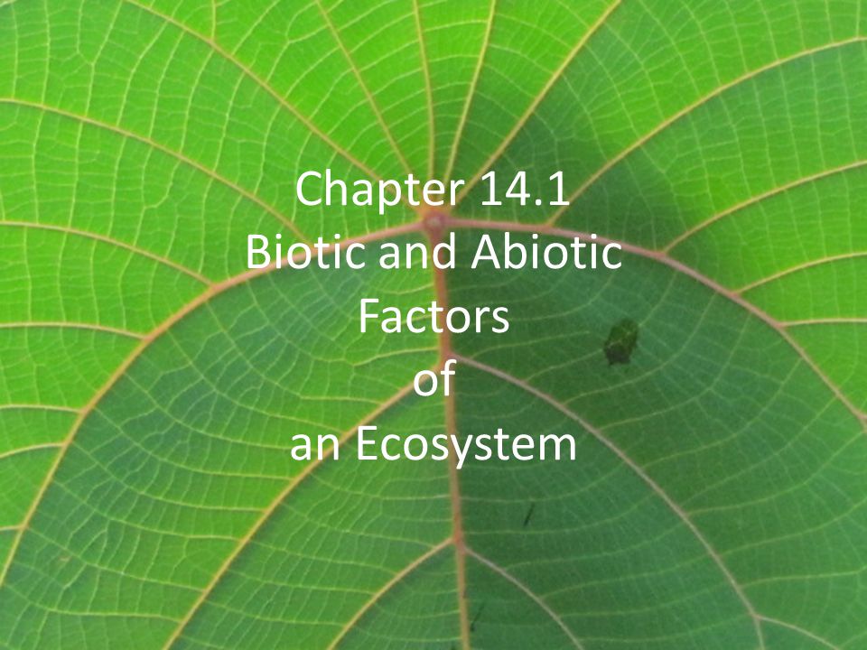 Chapter 14.1 Biotic and Abiotic Factors of an Ecosystem