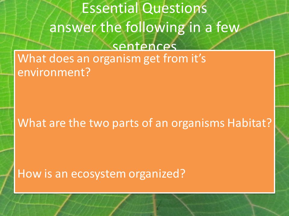 Essential Questions answer the following in a few sentences