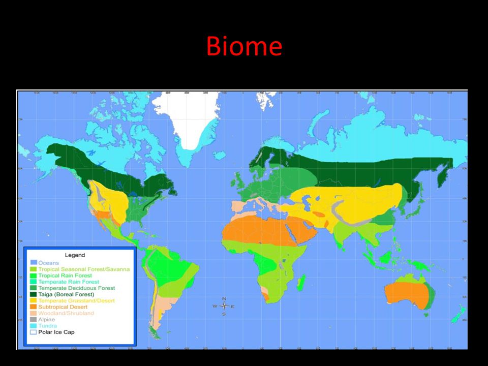 Biome Biome: a large group of ecosystems that share the same climate and have similar types of communities.