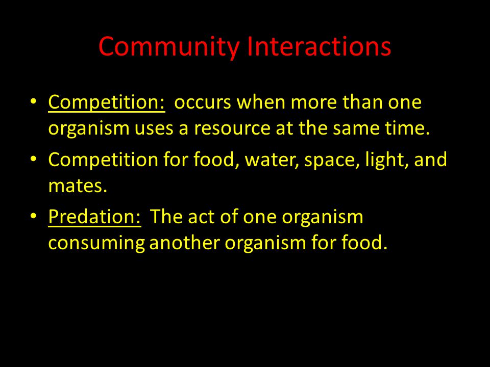 Community Interactions