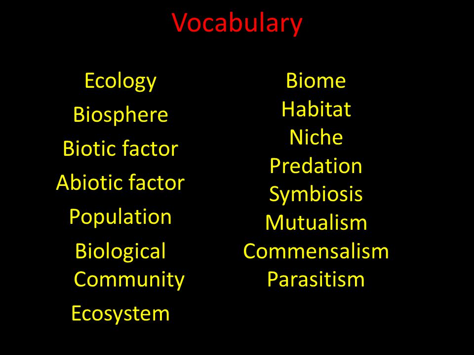 Vocabulary Ecology Biosphere Biotic factor Abiotic factor Population Biological Community Ecosystem