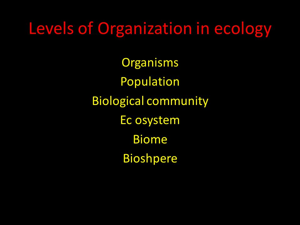 Levels of Organization in ecology