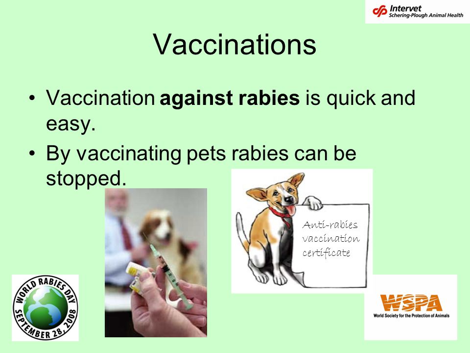 Vaccinations Vaccination against rabies is quick and easy.