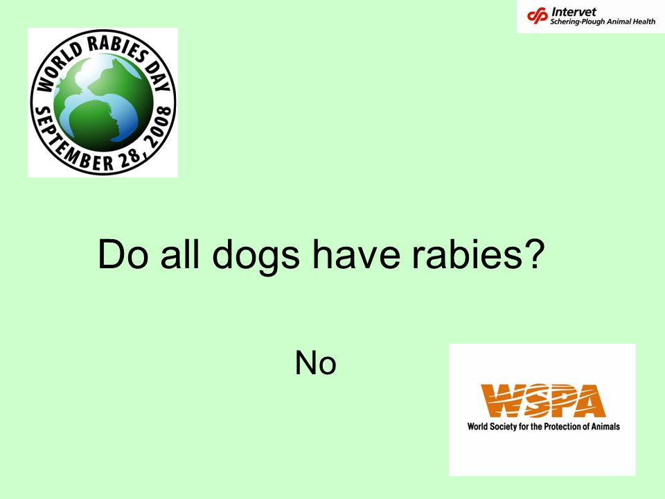 Do all dogs have rabies No Read the question.
