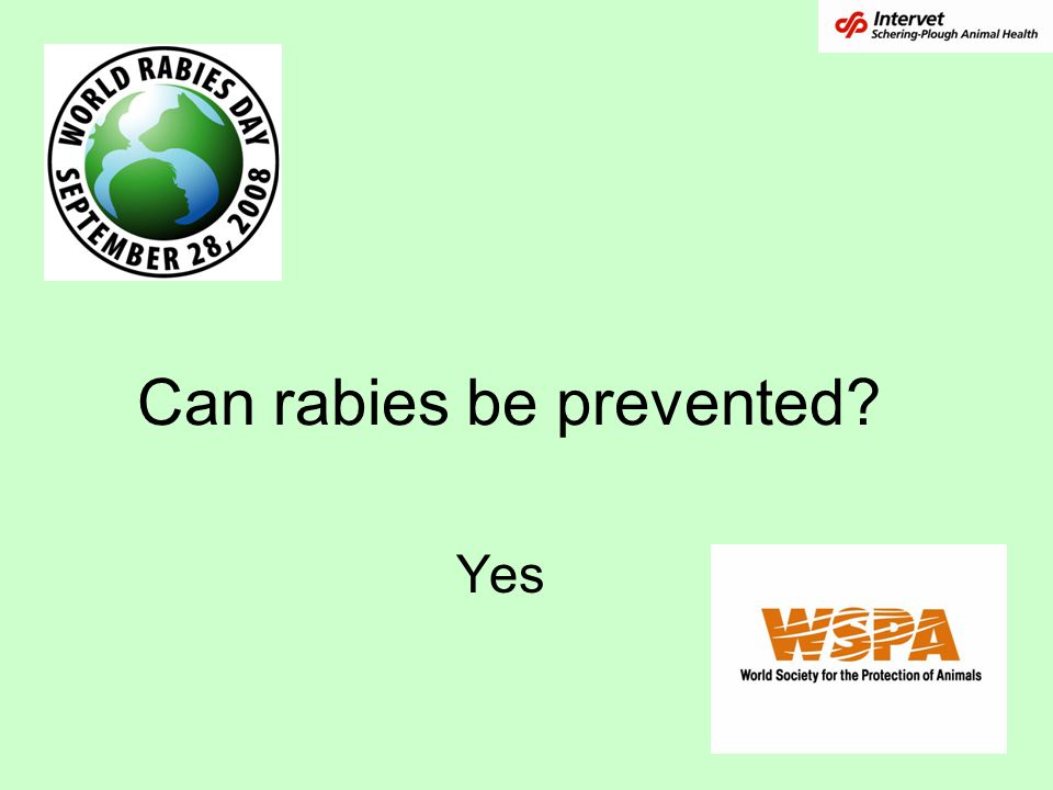 Can rabies be prevented