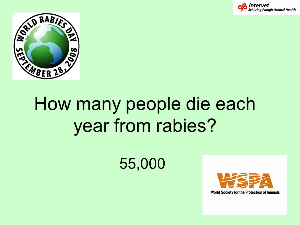 How many people die each year from rabies
