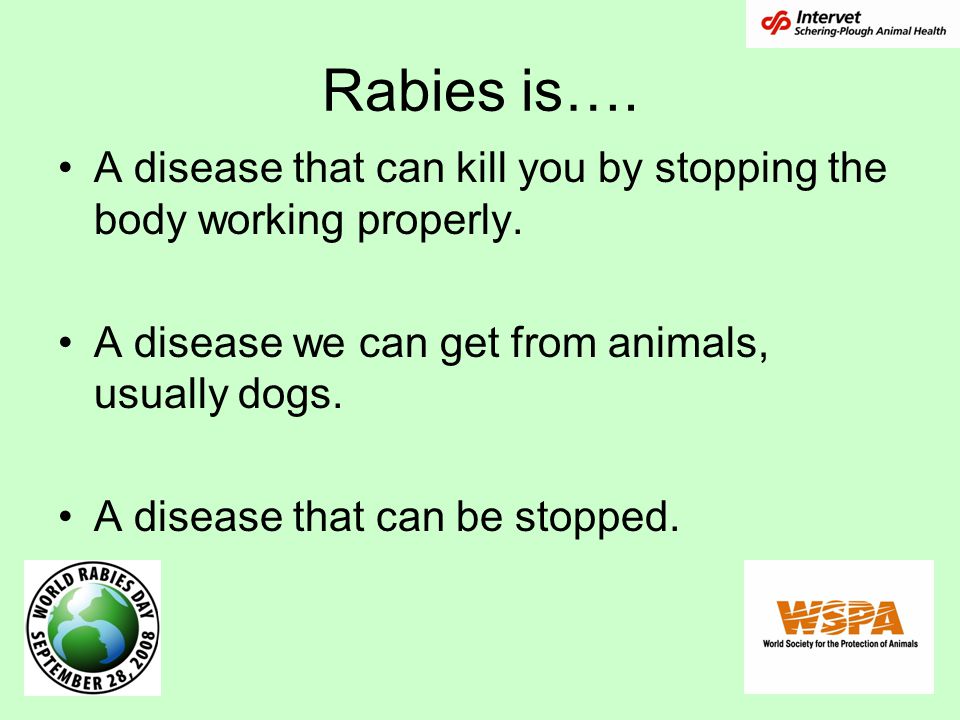 Rabies is…. A disease that can kill you by stopping the body working properly. A disease we can get from animals, usually dogs.