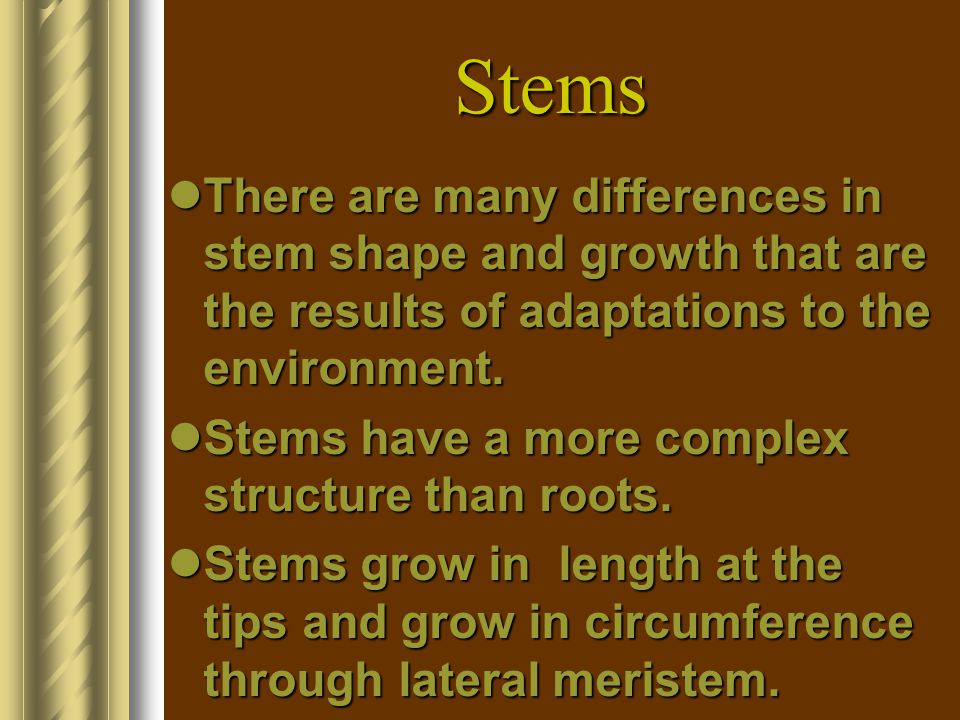 Stems There are many differences in stem shape and growth that are the results of adaptations to the environment.