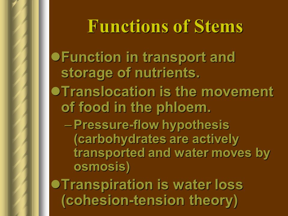 Functions of Stems Function in transport and storage of nutrients.