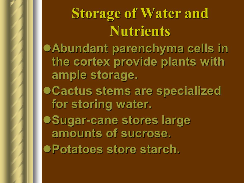Storage of Water and Nutrients