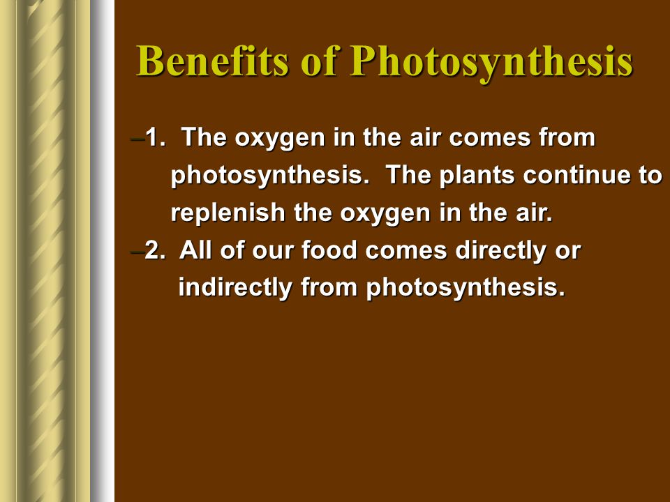 Benefits of Photosynthesis