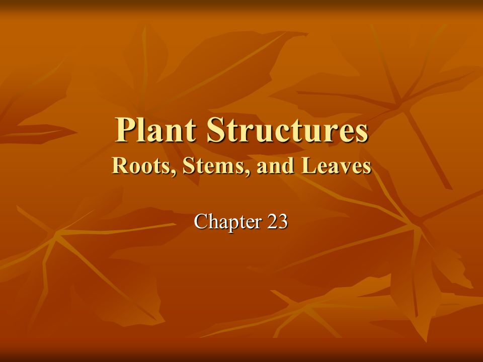 Plant Structures Roots, Stems, and Leaves