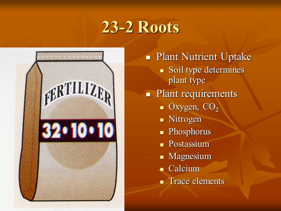 23-2 Roots Plant Nutrient Uptake Plant requirements