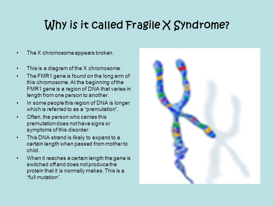 Why is it called Fragile X Syndrome