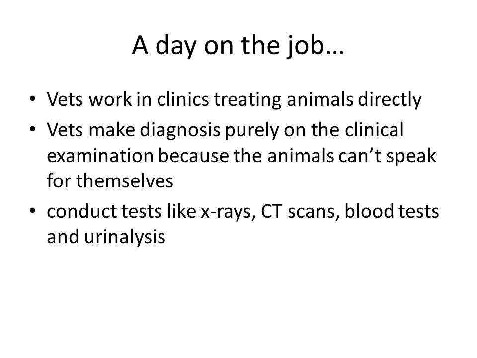 A day on the job… Vets work in clinics treating animals directly