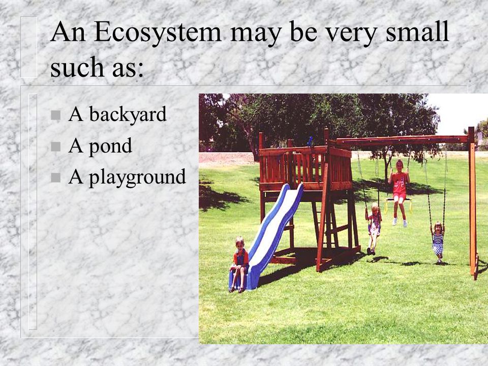 An Ecosystem may be very small such as: