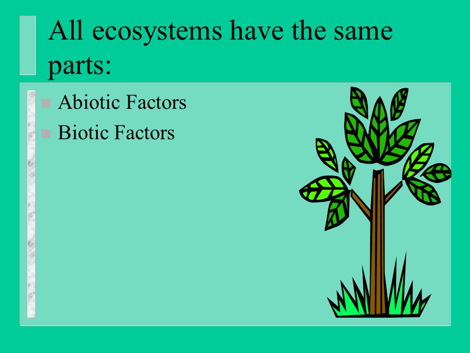 All ecosystems have the same parts: