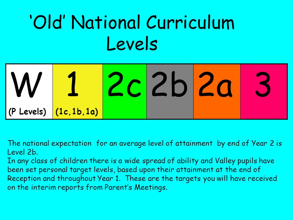 ‘Old’ National Curriculum Levels