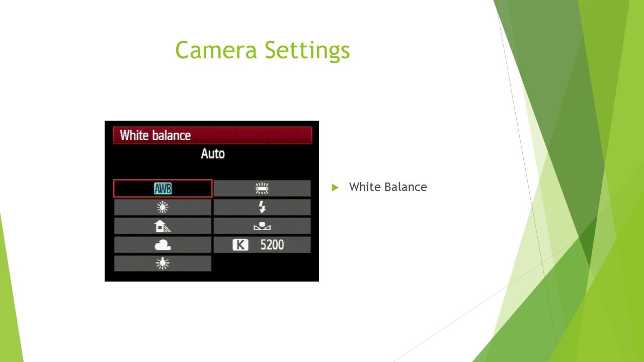 Camera Settings White Balance